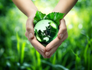 Ecologia y desarrollo sustentable CADESA